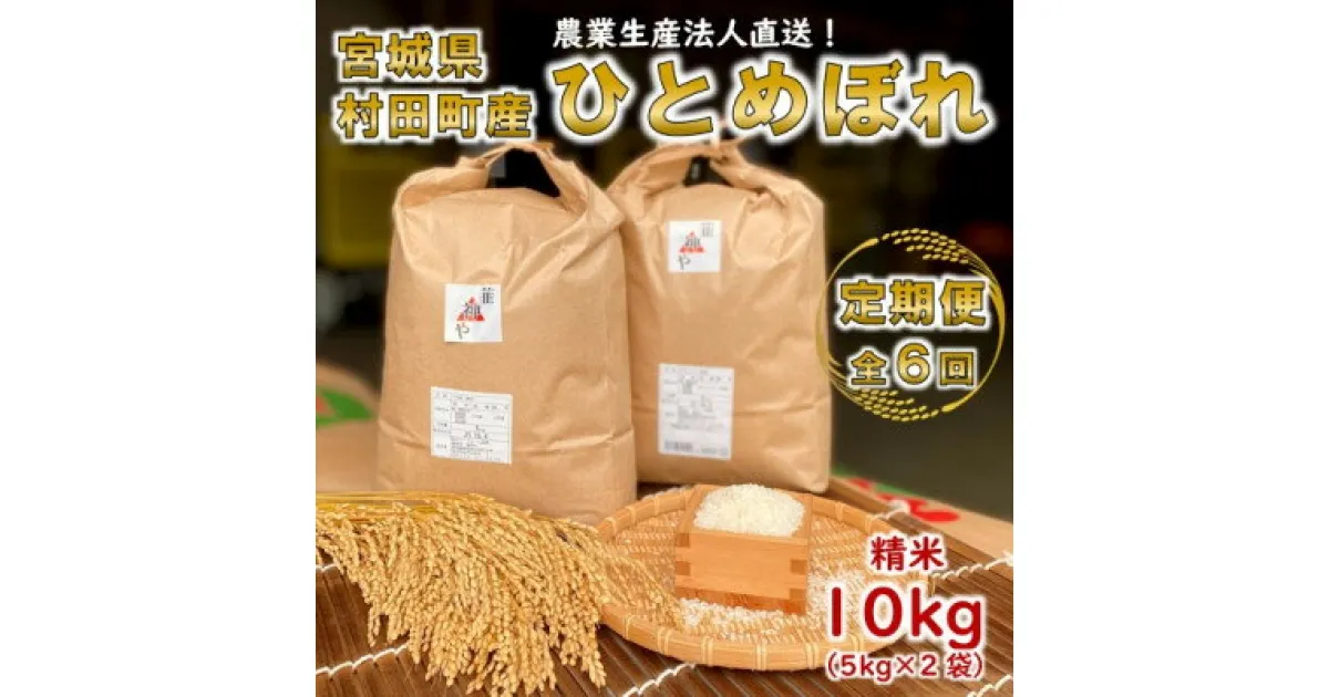 【ふるさと納税】【毎月定期便】【数量限定】宮城県村田町産ひとめぼれ 精米 10kg(5kg×2袋)全6回【4056515】