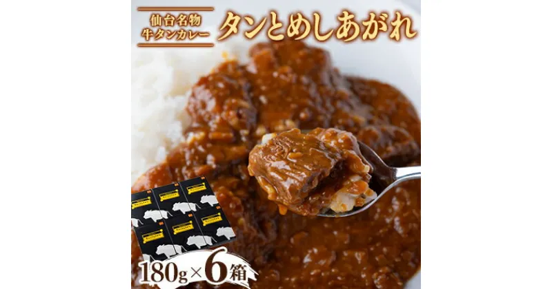 【ふるさと納税】牛タンカレー「タンとめしあがれ」6個セット【1479753】