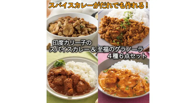 【ふるさと納税】スパイスカレー3種類 印度カリー子のスパイスキット&至福のグラノーラ3点　計6点セット【1475537】