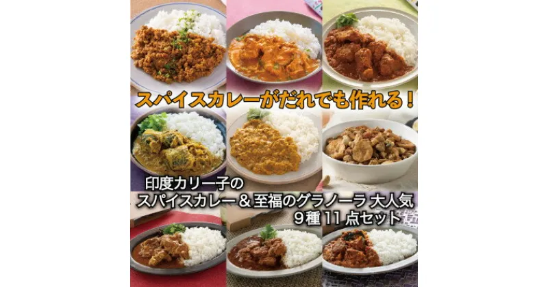 【ふるさと納税】印度カリー子のスパイスカレー&至福のグラノーラ 大人気9種11点セット【1475560】