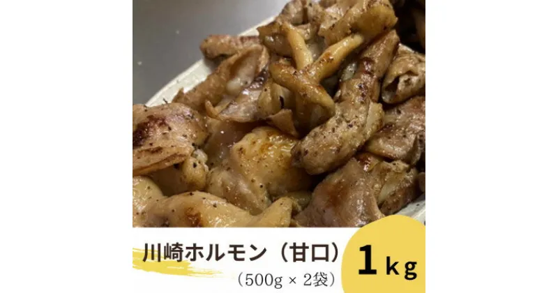 【ふるさと納税】川崎ホルモン 計1kg(500g×2p) (濃厚ニンニク生タレ『甘口付き』)【配送不可地域：離島】【1472976】