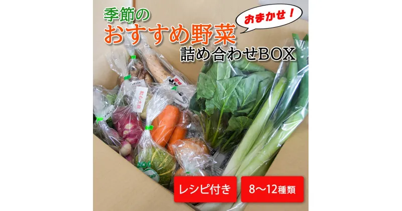 【ふるさと納税】季節のおすすめ野菜おまかせ詰め合わせBOX 8種～12種類 通常サイズ 野菜セット 送料無料｜野菜 1万円 まとめ買い おまかせ 詰め合わせ 直送 バーベキュー