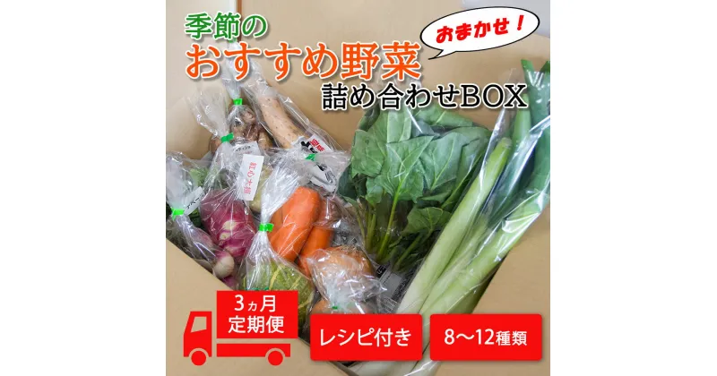 【ふるさと納税】季節のおすすめ野菜おまかせ詰め合わせ3ヵ月定期便 8種～12種類 野菜セット 送料無料｜野菜 まとめ買い おまかせ 詰め合わせ 直送 バーベキュー 定期便