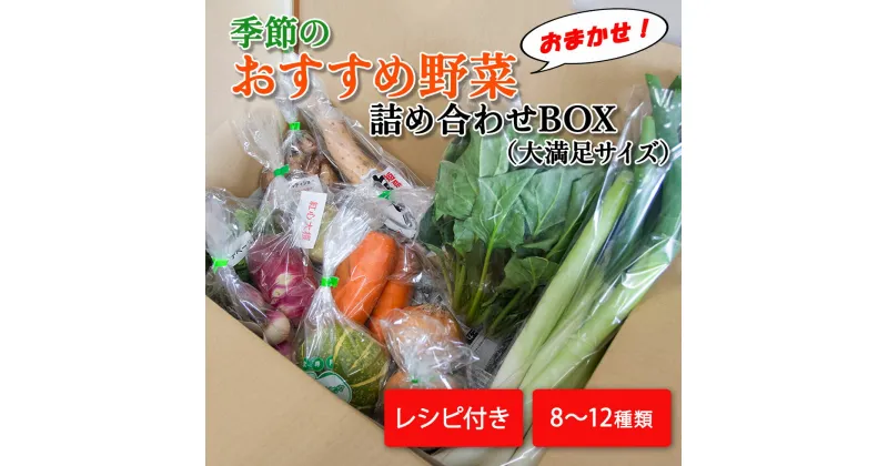 【ふるさと納税】季節のおすすめ野菜おまかせ詰め合わせBOX　8種～12種類 大満足サイズ｜野菜 まとめ買い おまかせ 詰め合わせ 直送 バーベキュー