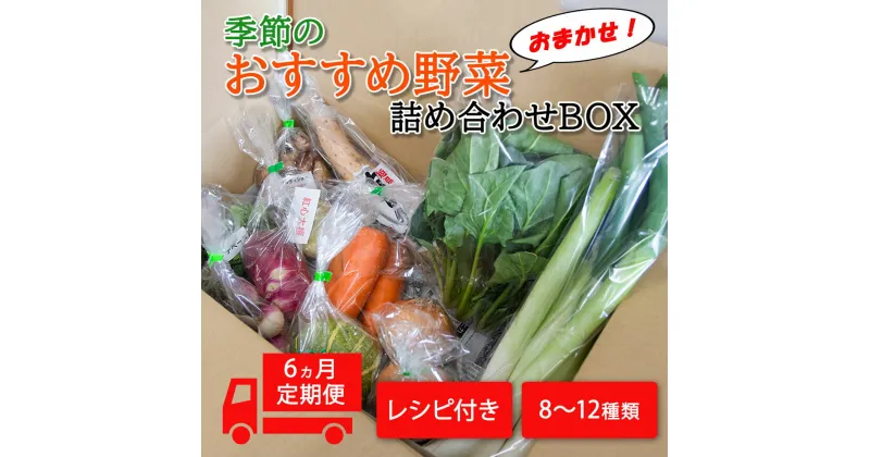 【ふるさと納税】季節のおすすめ野菜おまかせ詰め合わせ6ヵ月定期便 8種～12種類 野菜セット 送料無料｜野菜 まとめ買い おまかせ 詰め合わせ 直送 バーベキュー 定期便