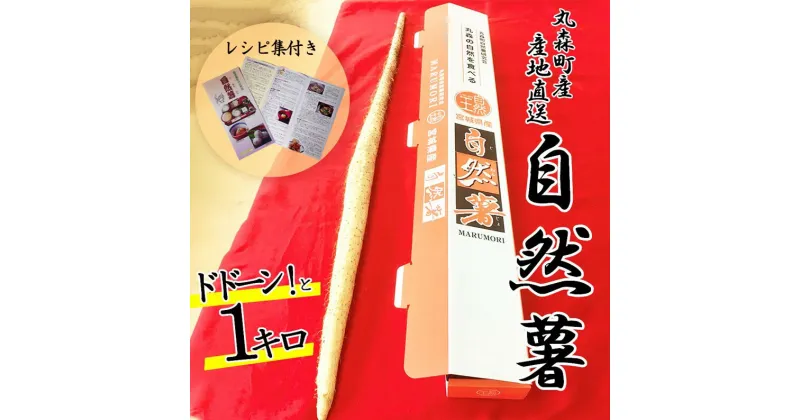 【ふるさと納税】R6年度産予約寄附　丸森町産 自然薯1kg 専用化粧箱入り レシピ集付き｜冬季限定 贈り物へもぴったり！ドドーンと1kgお届け 送料無料