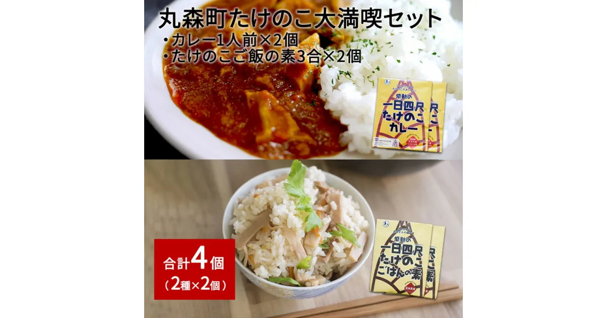 【ふるさと納税】たけのこカレー1人前×2個 たけのこごはんの素3合×2個 合計4個セット｜丸森自慢のたけのこ 具材ゴロゴロ レトルト食品 パウチ 炊き込みご飯 炊込み 手軽 筍 ご飯 人気 簡単 常温保存