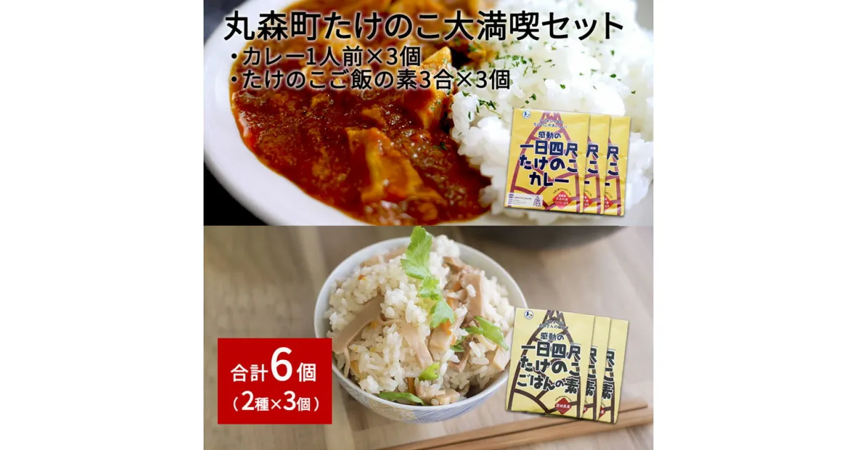 【ふるさと納税】たけのこカレー1人前×3個 たけのこごはんの素3合×3個 合計6個セット｜丸森自慢のたけのこ 具材ゴロゴロ レトルト食品 パウチ 炊き込みご飯 炊込み 手軽 筍 ご飯 人気 簡単 常温保存