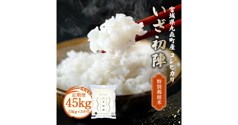 【ふるさと納税】定期便 特別栽培米 令和6年丸森町産 コシヒカリ｜ いざ初陣 15kg（1kg×15個を3カ月）計45kgお届け 新米 減農薬 東北 宮城 高級 ブランド 米 送料無料 祝い 贈答 入学