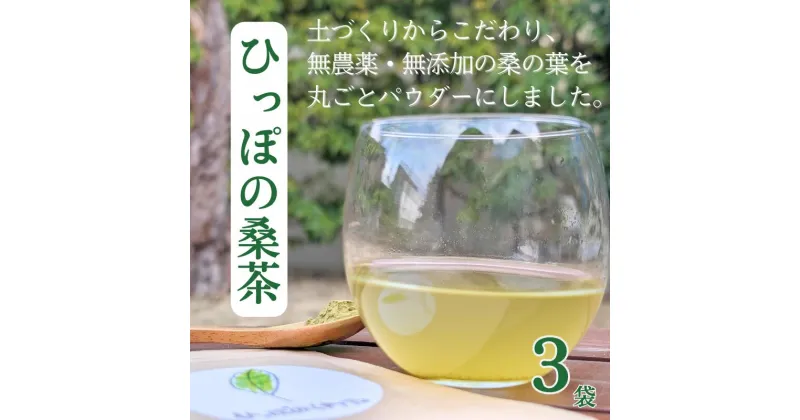 【ふるさと納税】現代人の不足しがちな栄養補給に！ ひっぽの桑茶3袋セット｜お茶 ノンカフェイン パウダー 健康 美容 糖質 ヘルシー ダイエット ビューティー キレイ マルベリー mulberry tea