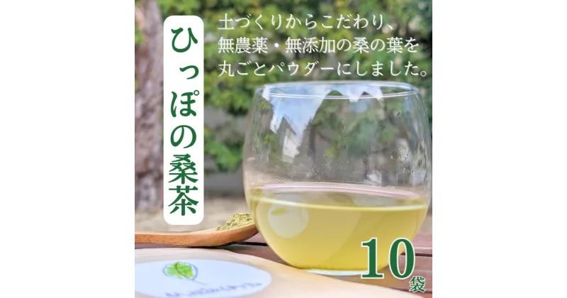 【ふるさと納税】現代人の不足しがちな栄養補給に！ ひっぽの桑茶10袋セット｜お茶 ノンカフェイン パウダー 健康 美容 糖質 ヘルシー ダイエット ビューティー キレイ マルベリー mulberry tea