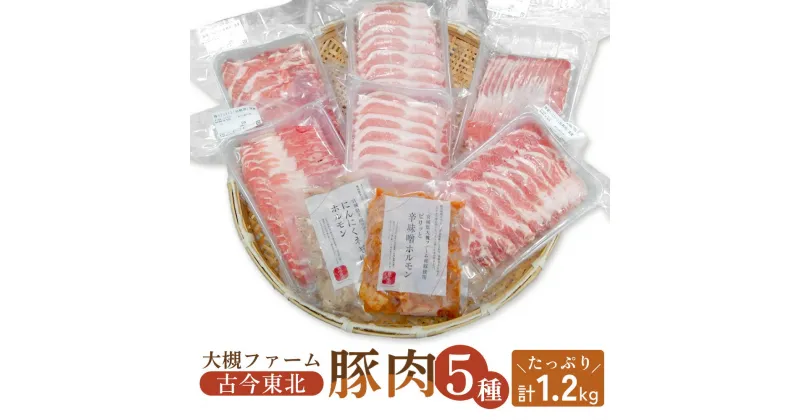 【ふるさと納税】【古今東北】 丸森町大槻ファーム 豚肉5種類セット(計1.2kg）丸森町 古今東北 大槻ファーム 豚肉セット 1.2kg SPF豚 しもふりレッド 焼き肉 豚しゃぶ 生姜焼き 味付けホルモン 辛味噌ホルモン にんにくネギ塩ホルモン 古今東北 丸森 ふるさと納税 【30101】