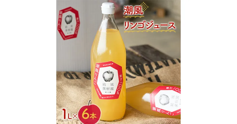 【ふるさと納税】潮風リンゴジュース 1L×6本 【結城果樹園】　果物・フルーツ・果実飲料・ジュース・りんご・林檎