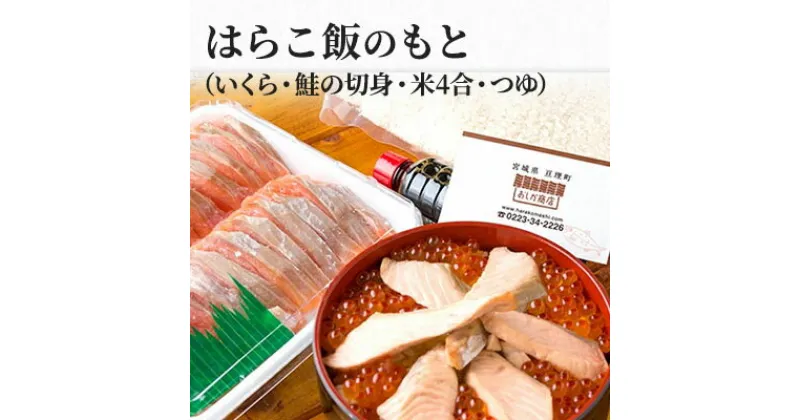 【ふるさと納税】はらこ飯 おしか商店 はらこ飯のもと （約4～5人前） はらこめし 鮭 サーモン いくら 鮭いくら 海鮮 魚 魚介類 魚介 魚卵 ご飯のお供 お米 米 丼 亘理の名産 郷土料理　 亘理町