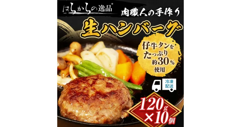 【ふるさと納税】ハンバーグ 肉職人の手作り生ハンバーグ 10個 セット はらからの逸品 牛肉 豚肉 合い挽き 小分け 冷凍 10000円　亘理町