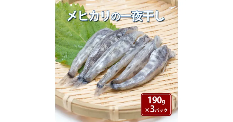 【ふるさと納税】メヒカリの一夜干し190g×3パック