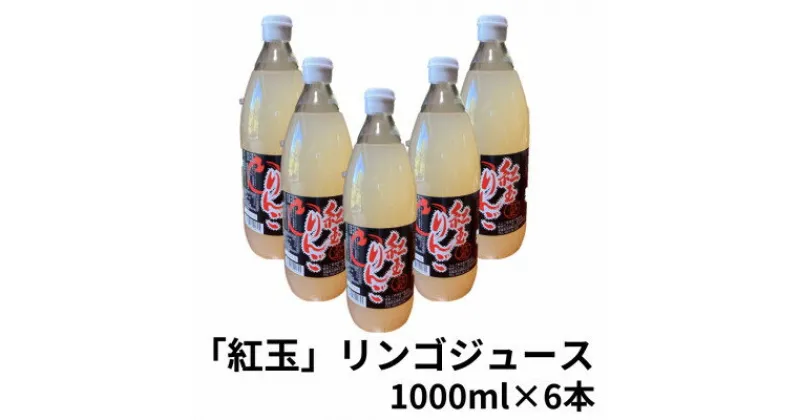 【ふるさと納税】紅玉りんごジュース　1000ml×6本【配送不可地域：離島】【1418485】