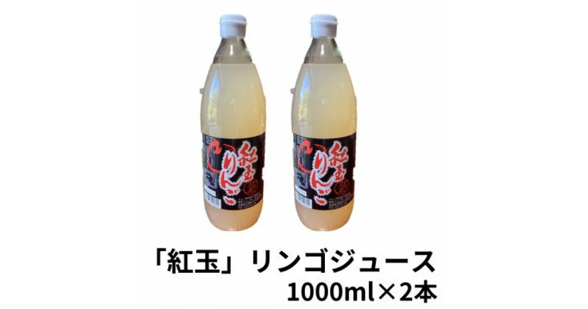 【ふるさと納税】紅玉りんごジュース　1000ml×2本【配送不可地域：離島】【1418489】