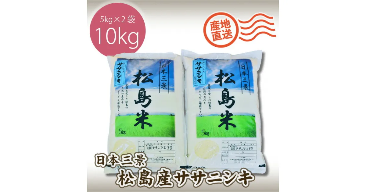 【ふるさと納税】No.092 【令和6年度産】松島産ササニシキ5kg×2袋 ／ 新米 ささにしき 精米 お米 送料無料 宮城県