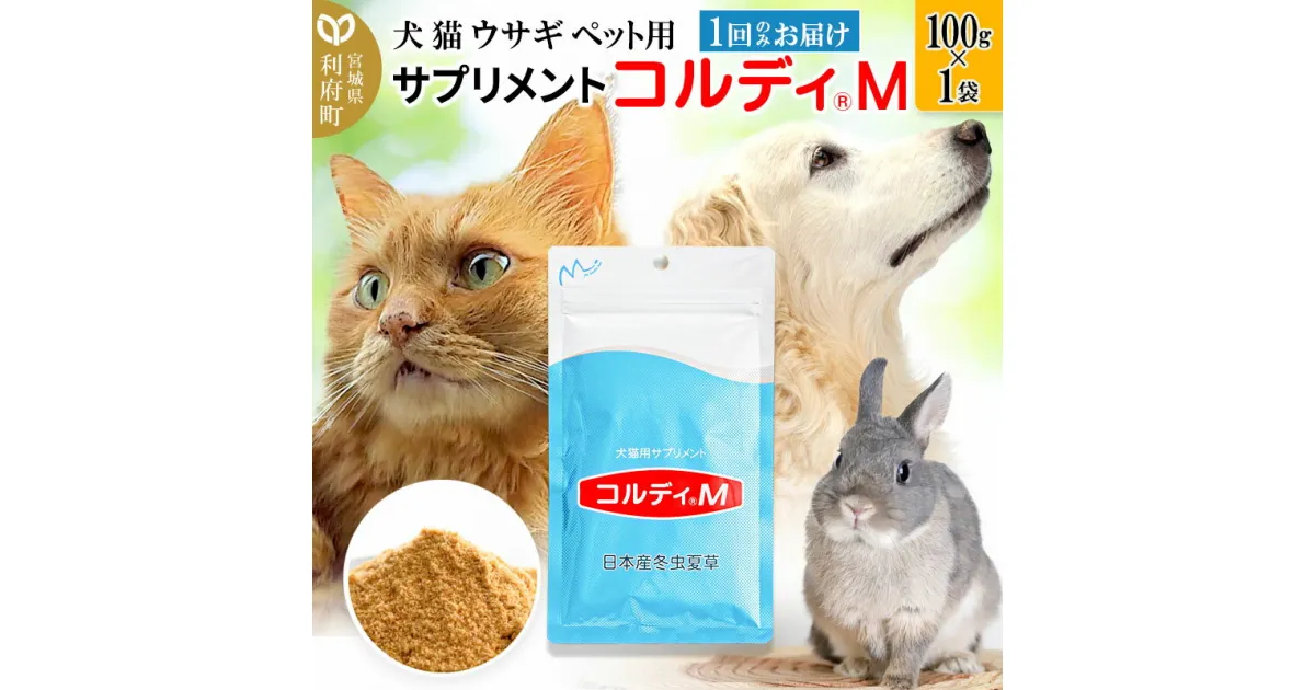 【ふるさと納税】犬 猫 ウサギ いつものエサにプラス！ペット用サプリメント(コルディM) 100g×1袋 冬虫夏草 パウダー 粉末