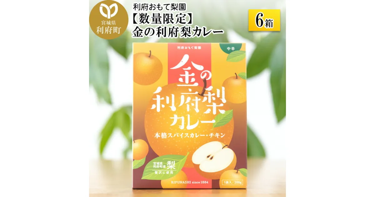 【ふるさと納税】【数量限定】金の利府梨カレー(中辛) 200g×6箱セット「宮城県利府町産の梨を使用」