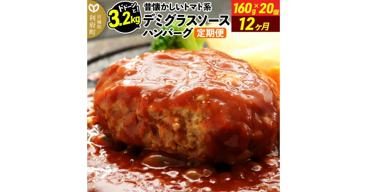 【ふるさと納税】《定期便12ヶ月》ドドンと3.2kg！昔懐かしいトマト系デミグラスソースハンバーグ (160g×20個)×12回 肉 洋食 簡単 大容量 湯煎 湯せん 個包装