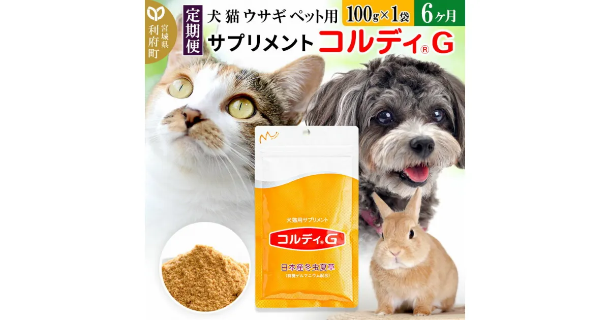 【ふるさと納税】《定期便6ヶ月》犬 猫 ウサギ ペット用サプリメント(コルディG) 100g×1袋 6か月 6ヵ月 6カ月 6ケ月