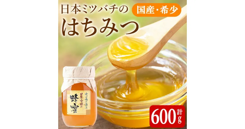 【ふるさと納税】七ツ森の恵 日本ミツバチのはちみつ 600g ハチミツ 蜂蜜 日本蜜蜂 国産 日本ミツバチ 百花蜜【はちみつ屋】ta200