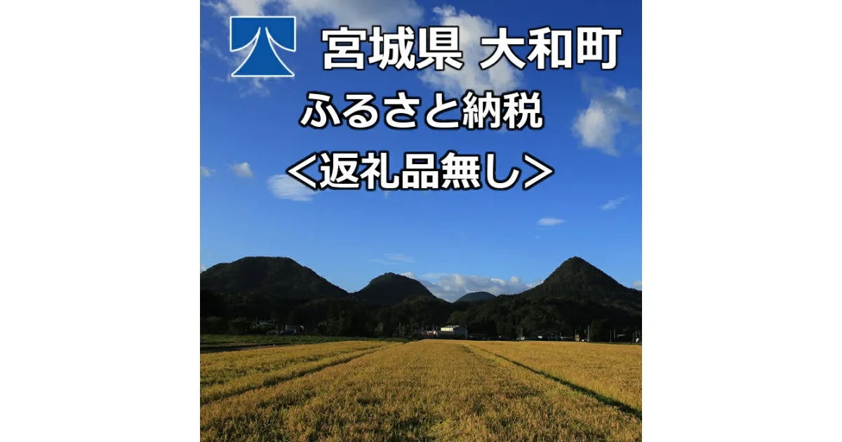 【ふるさと納税】＜返礼品なし＞大和町ふるさと納税へのご寄附 ta000-2000