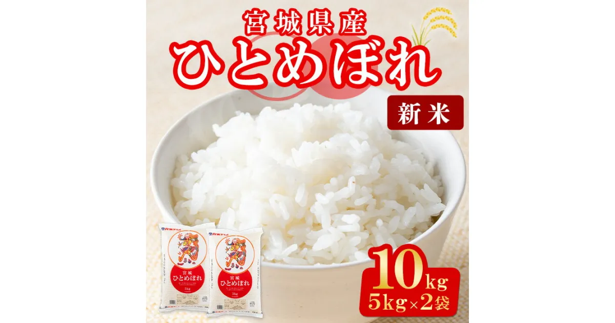 【ふるさと納税】＜令和6年産 新米＞宮城県産 ひとめぼれ 合計10kg (5kg×2袋) お米 おこめ 米 コメ 白米 ご飯 ごはん おにぎり お弁当【株式会社パールライス宮城】ta203