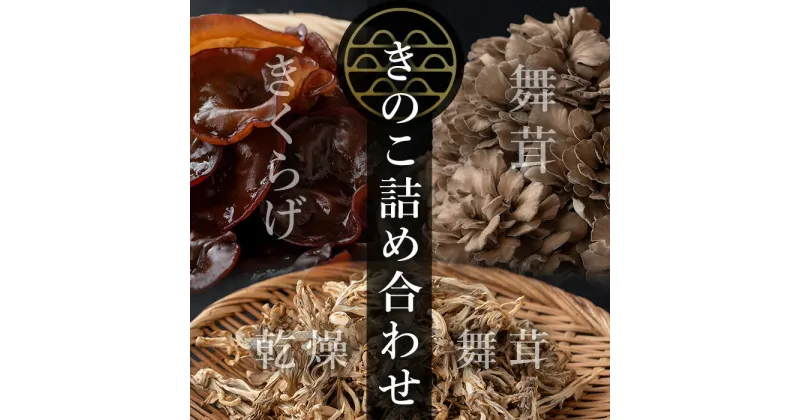 【ふるさと納税】七つ森ふもと舞茸 詰め合わせギフトセット Lサイズ まいたけ マイタケ きくらげ 乾燥舞茸 きのこセット 農家直送 天ぷら すき焼き 炊き込みご飯 宮城県産 ギフト 詰め合わせ【株式会社七つ森ふもと舞茸】ta327