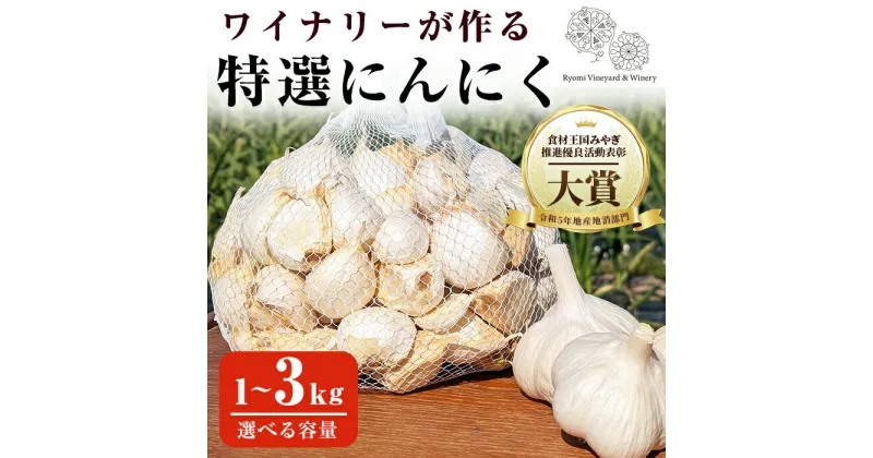 【ふるさと納税】ワイナリーが作る特選にんにく 1～3kg バラ 選べる容量 にんにく ニンニク ガーリック 了美ホワイト 六片種 ばら ホワイト六片 おつまみ ワイン 健康 食品 料理 産地直送 宮城県 大和町【了美ワイナリー】ta350・ta426