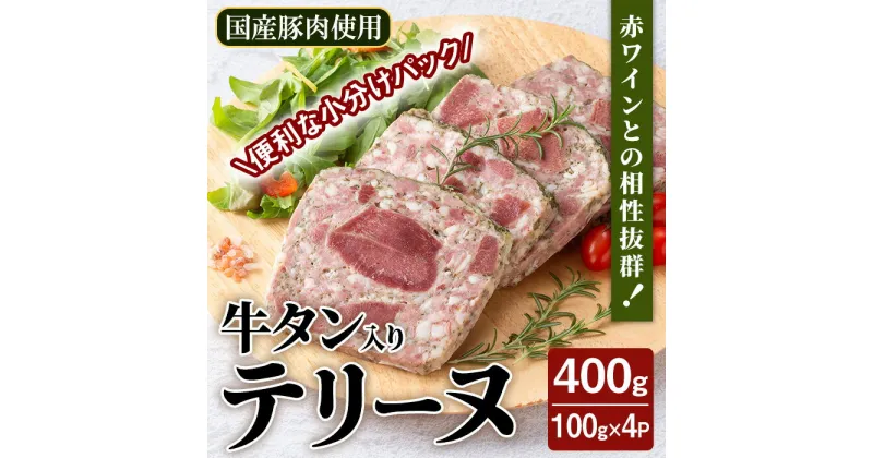 【ふるさと納税】牛タン入りテリーヌ 400g （100g×4パック） テリーヌ パテ シャルキュトリ パン クラッカー 牛タン 牛肉 手作り ワインのおつまみに 肉 加工品 小分け 冷蔵 【有限会社コブレンツ】ta398