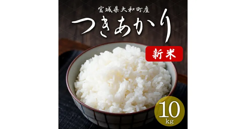 【ふるさと納税】＜令和6年産 新米＞ つきあかり 10kg お米 おこめ 米 コメ 白米 ご飯 ごはん おにぎり お弁当【赤間農業開発株式会社】ta460