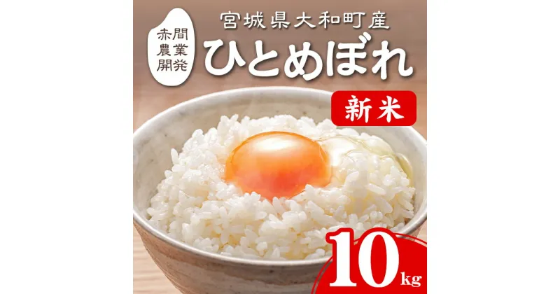 【ふるさと納税】＜令和6年産 新米＞ ひとめぼれ 10kg お米 おこめ 米 コメ 白米 ご飯 ごはん おにぎり お弁当【赤間農業開発株式会社】ta461